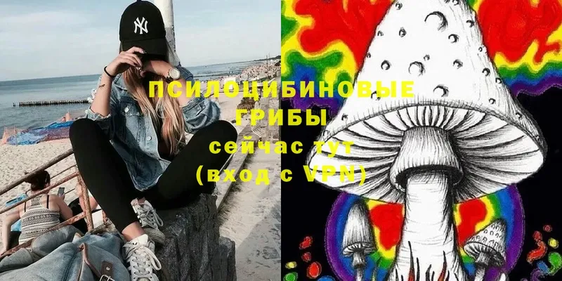 Псилоцибиновые грибы MAGIC MUSHROOMS  купить наркоту  Сясьстрой 